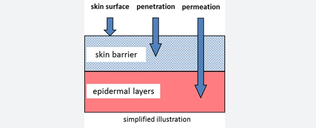 ion_facial_infuser 