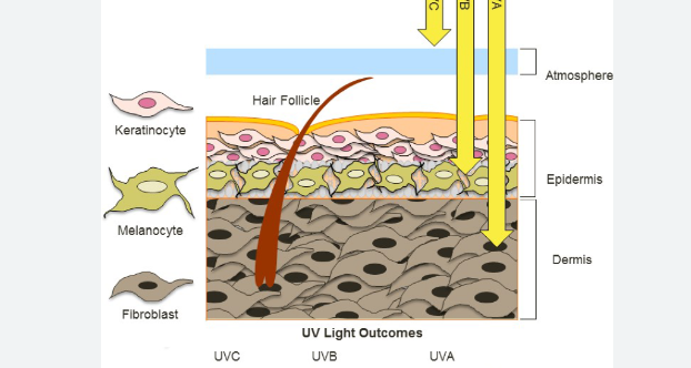 skin analysis device